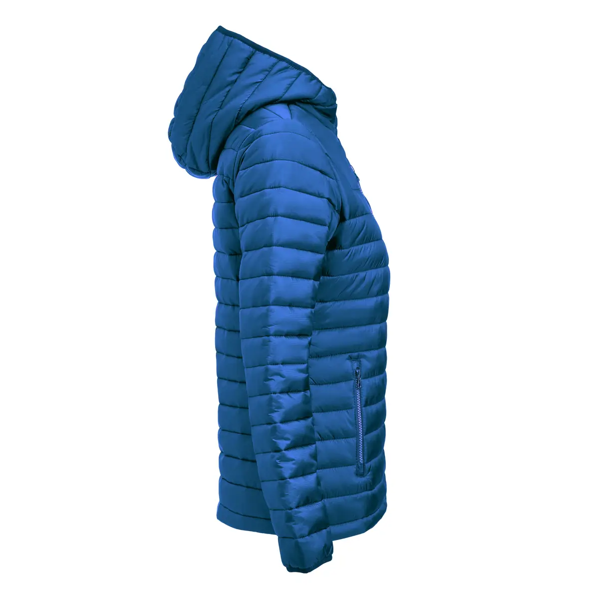 Chaqueta mujer JAMES HARVEST MEADOWS WOMAN 2121052 9 Chaqueta acolchada de mujer James Harvest Meadows Woman 2121052, Azul, lateral derecho