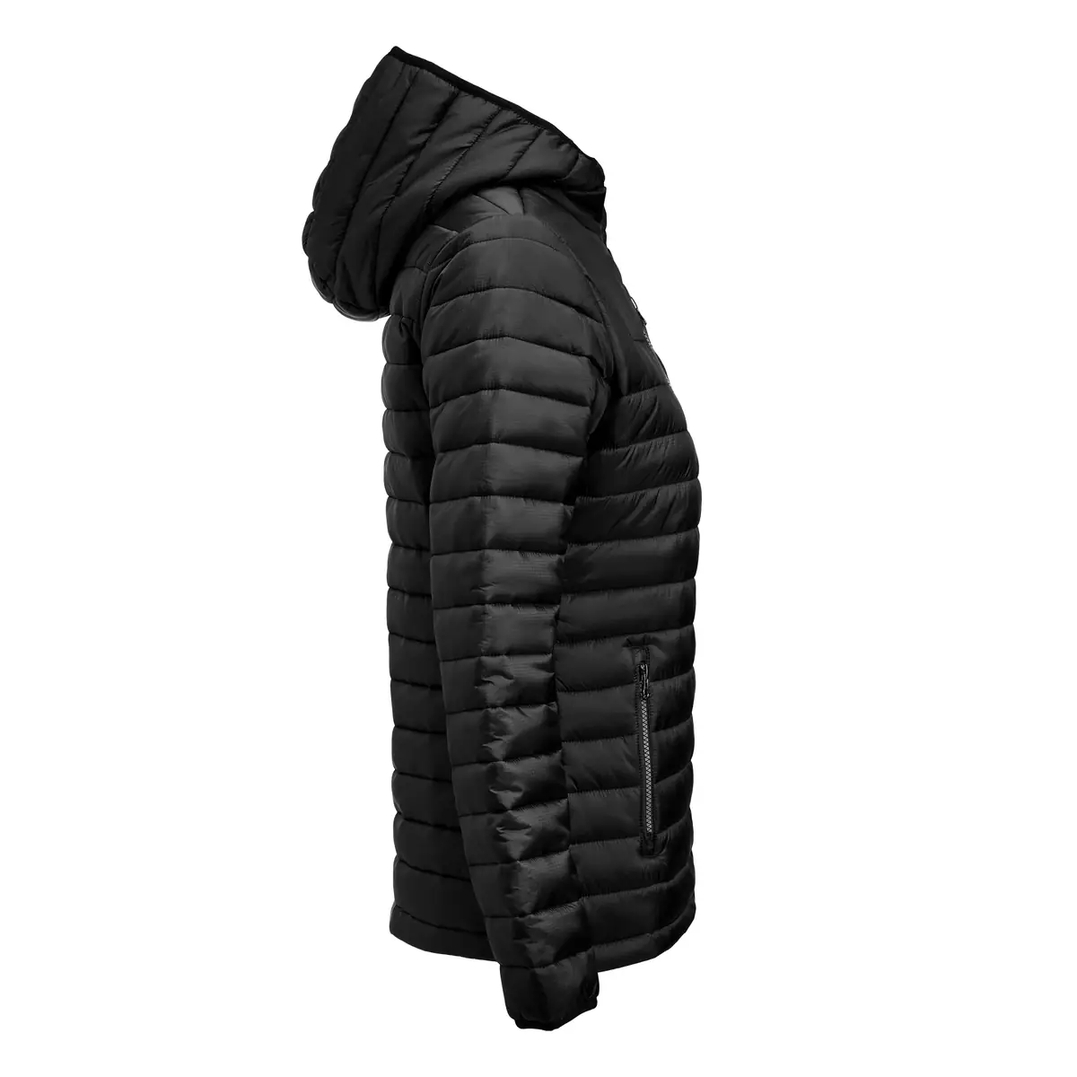 Chaqueta mujer JAMES HARVEST MEADOWS WOMAN 2121052 17 Chaqueta acolchada de mujer James Harvest Meadows Woman 2121052, Negro, lateral derecho