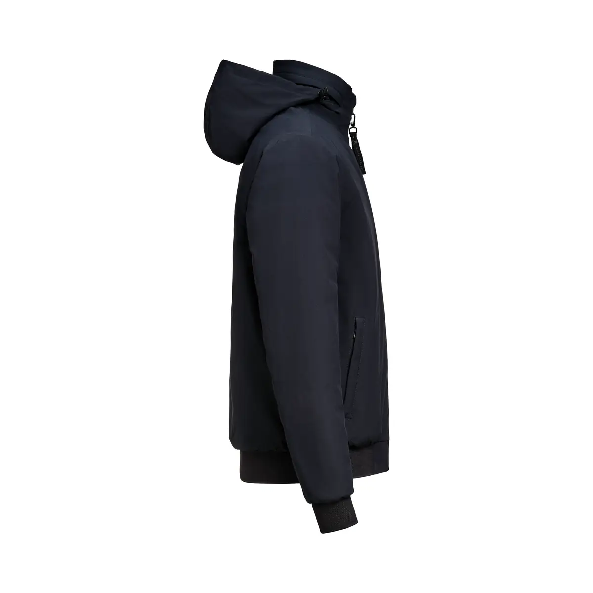 Chaqueta hombre JAMES HARVEST MONTANA BOMBERJACKET 2131050 19 Chaqueta hombre JAMES HARVEST MONTANA BOMBERJACKET 2131050, Marino, lateral derecho con capucha
