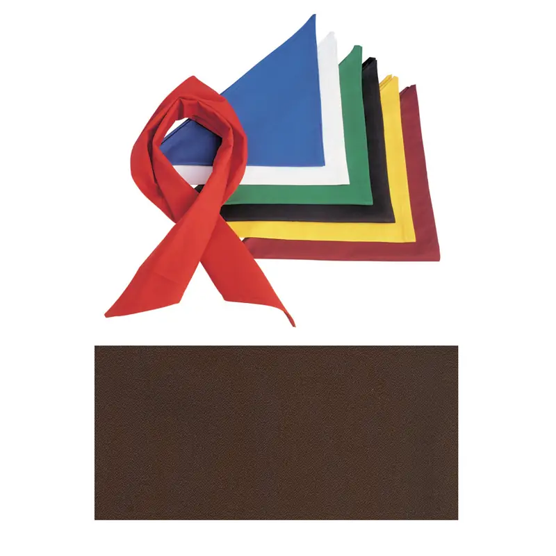 Pañoleta triangular Leiber 11/300 6 Pañoleta triangular Leiber 11/300 en varios colores y muestra de tejido café