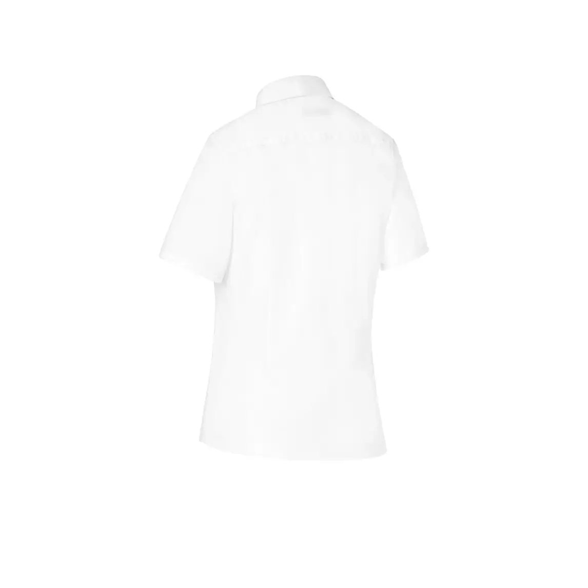Camisa Manga Corta Cuello Camisero Regular Fit Monza 02251 4 Camisa Manga Corta Cuello Camisero Regular Fit Monza 02251 en blanco, vista posterior