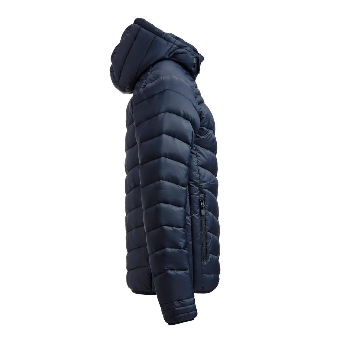 Chaqueta hombre PRINTER ESSENTIALS BASE JACKET 2261077 17 Chaqueta hombre PRINTER ESSENTIALS BASE JACKET 2261077, Marino oscuro, lateral derecho