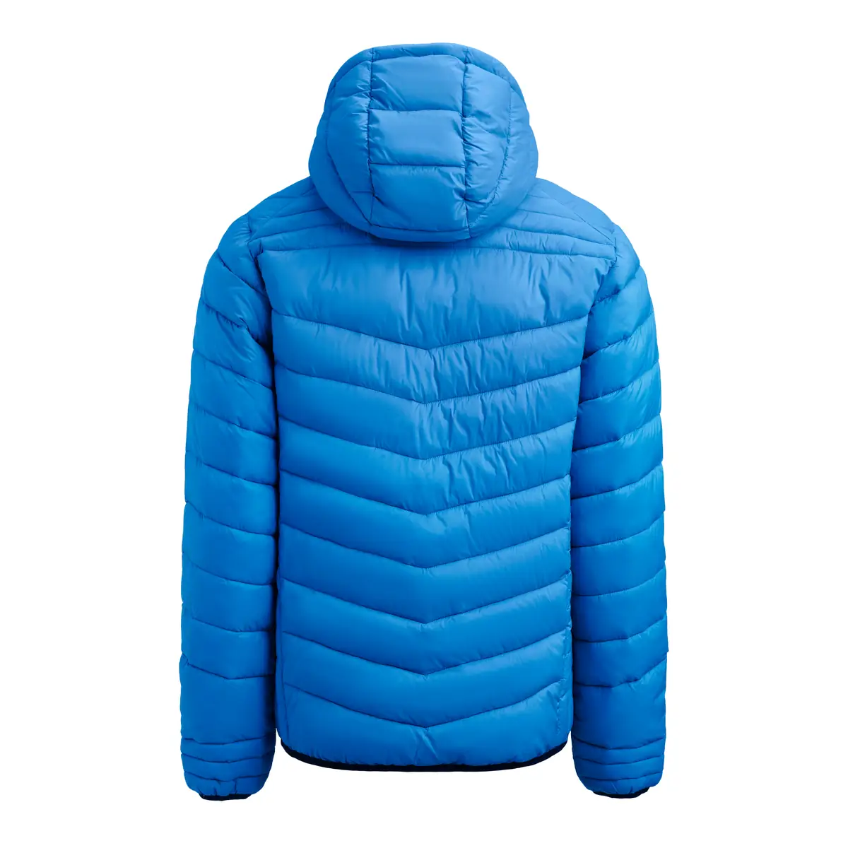 Chaqueta hombre PRINTER ESSENTIALS BASE JACKET 2261077 20 Chaqueta hombre PRINTER ESSENTIALS BASE JACKET 2261077, Ocean blue, vista posterior