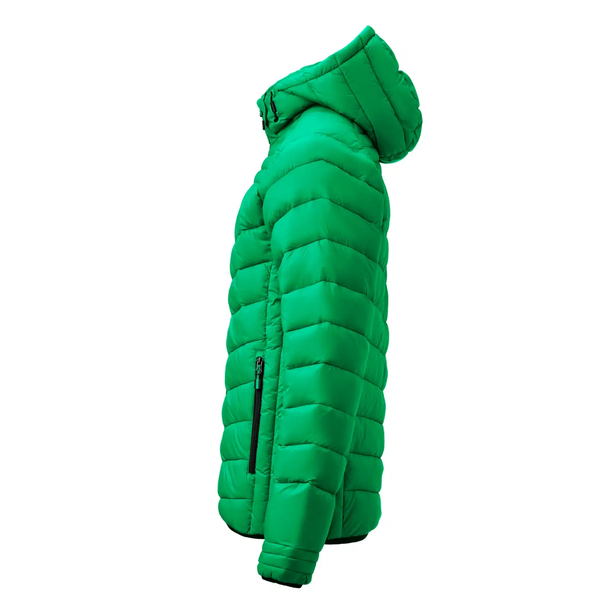 Chaqueta hombre PRINTER ESSENTIALS BASE JACKET 2261077 25 Chaqueta hombre PRINTER ESSENTIALS BASE JACKET 2261077, Fresh green, lateral izquierdo