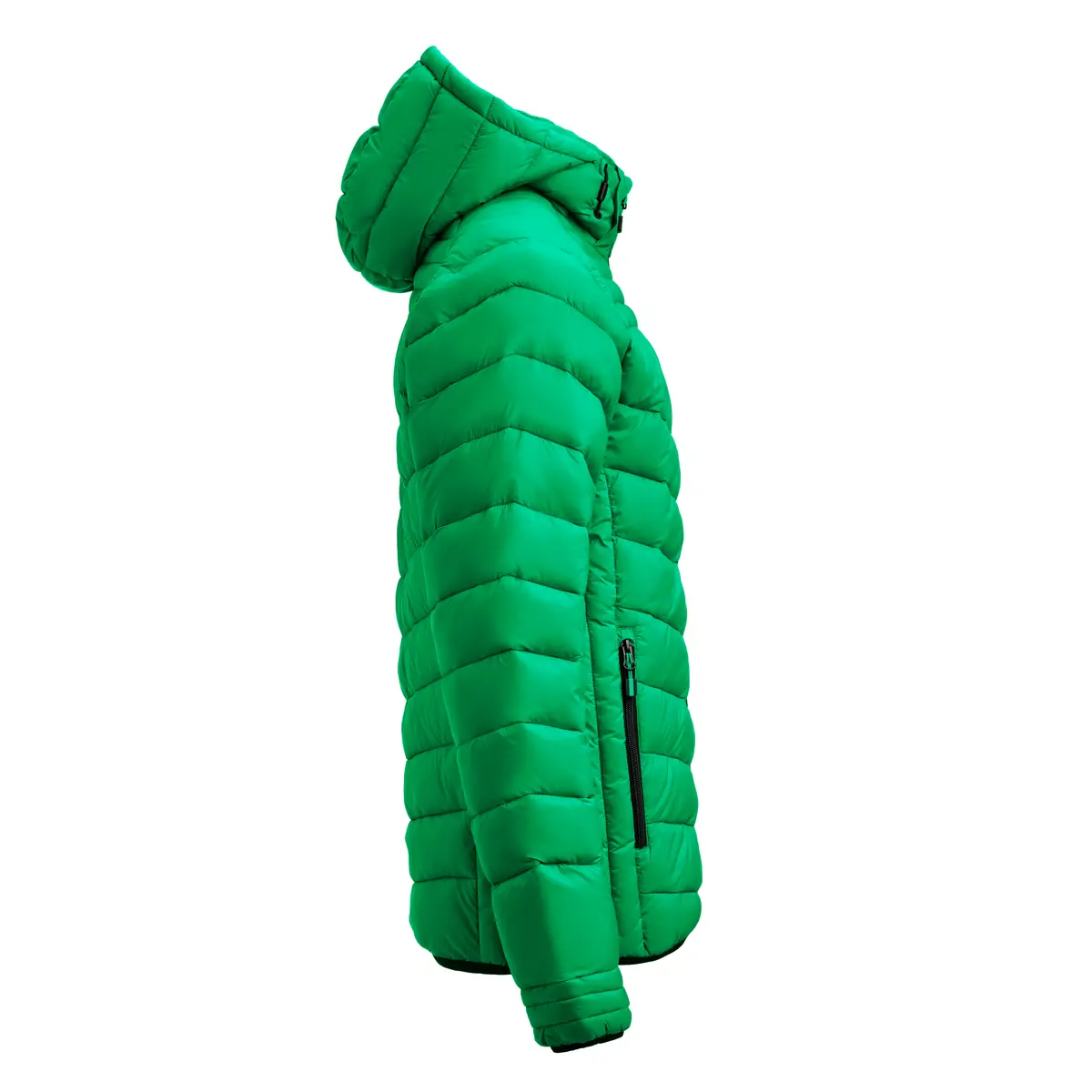 Chaqueta hombre PRINTER ESSENTIALS BASE JACKET 2261077 24 Chaqueta hombre PRINTER ESSENTIALS BASE JACKET 2261077, Fresh green, lateral derecho