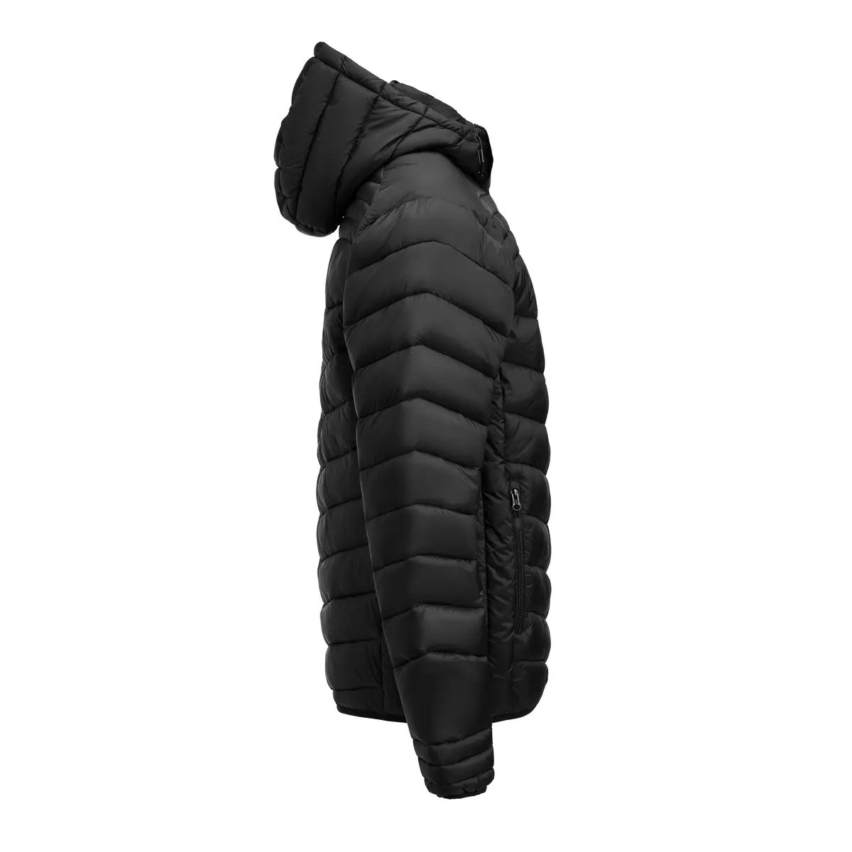 Chaqueta hombre PRINTER ESSENTIALS BASE JACKET 2261077 29 Chaqueta hombre PRINTER ESSENTIALS BASE JACKET 2261077, Negro, lateral derecho