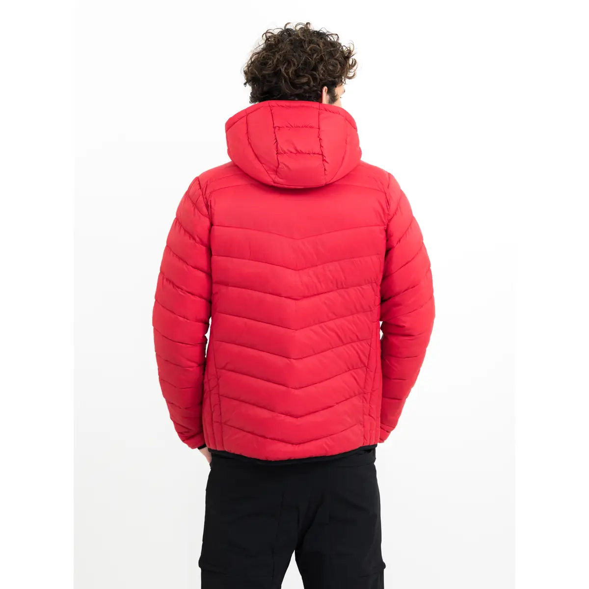 Chaqueta hombre PRINTER ESSENTIALS BASE JACKET 2261077 40 Chaqueta hombre PRINTER ESSENTIALS BASE JACKET 2261077, con modelo, vista posterior