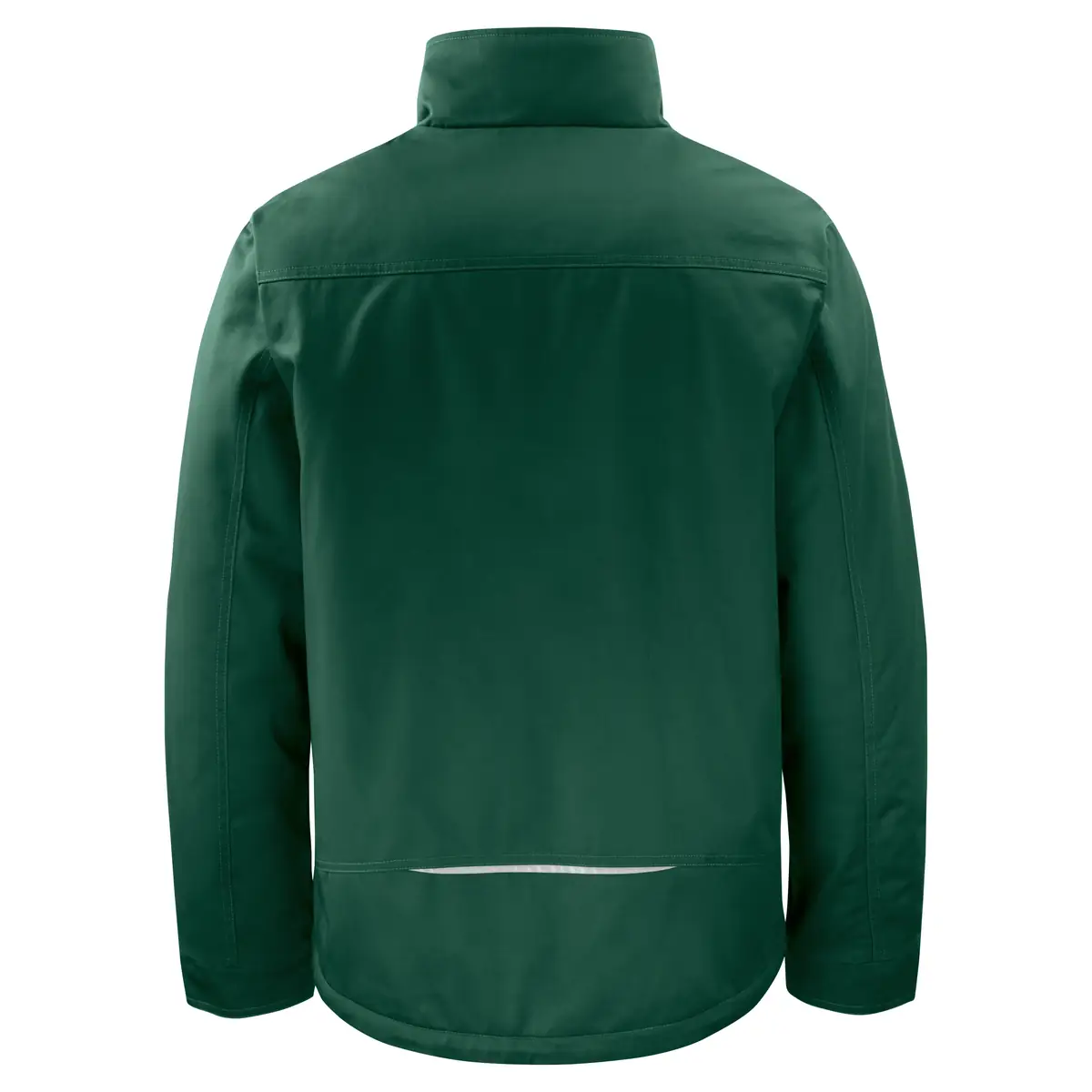 Chaqueta acolchada hombre PROJOB 5426 645426 10 Chaqueta acolchada hombre PROJOB 5426 645426, Forest green, vista posterior