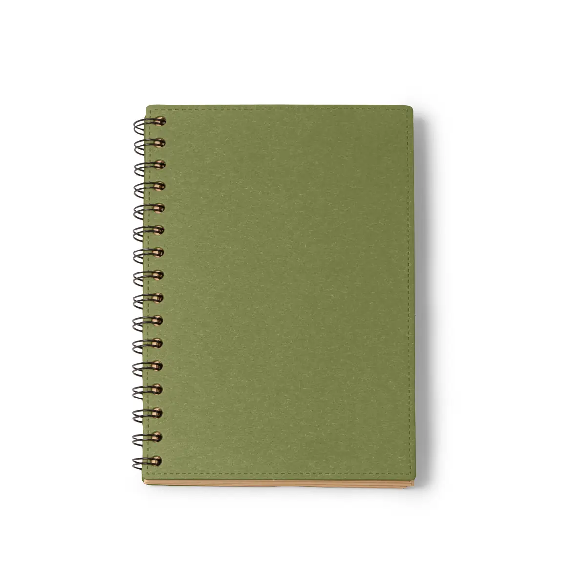 Libreta A5 Stamina Nusax 1627 6 Libreta A5 Stamina Nusax 1627, verde helecho, vista frontal de la cubierta