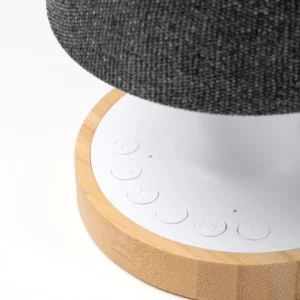 Lámpara altavoz Stamina Tremens 1801, gris vigoré, detalle de los controles