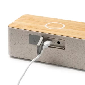 Altavoz con carga inalámbrica Stamina Zatox 3308, crudo, detalle de conexiones y cable de carga