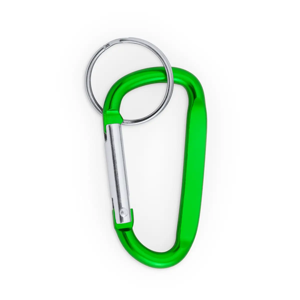 Llavero mosquetón Stamina Pale 4073 7 Llavero mosquetón Stamina Pale 4073, verde helecho, vista frontal del llavero
