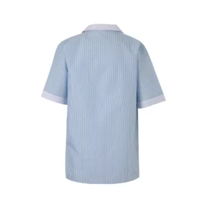 Camisola sanitaria a rayas Velilla 585 Celeste, vista trasera