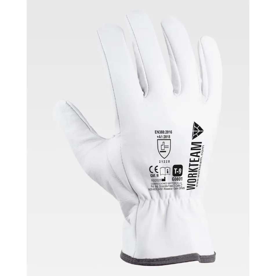 Guantes, pack 12 pares WorkTeam G0801 1 Guantes, pack 12 pares WorkTeam G0801, Blanco, vista dorsal